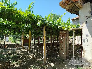 image_6