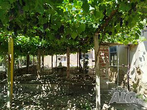 image_8