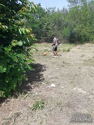image_9