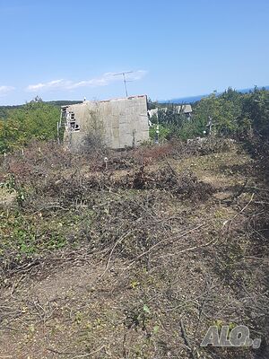image_13