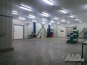 image_3