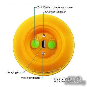 image_8
