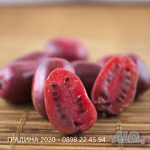 image_3