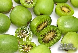 Киви Actinidia arguta Issai - МИНИ КИВИ - малко познато и много вкусно! Цена за растение 12лв