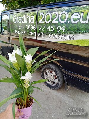 image_7