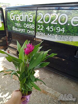 image_8