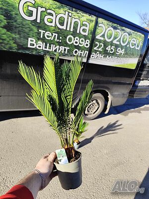 image_4