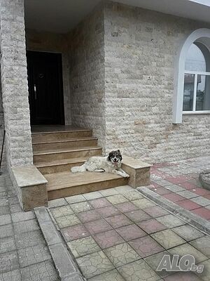 image_7