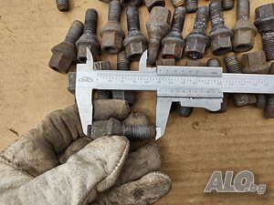 image_6