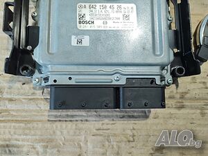 image_11