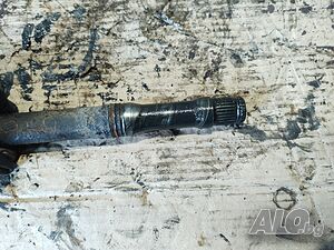 image_5