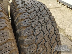 image_8