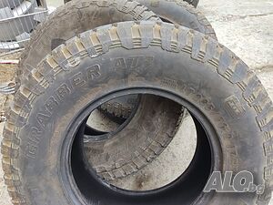 image_10