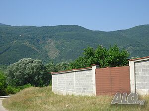 image_6