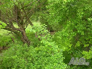 image_7