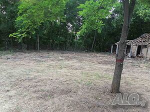 image_6