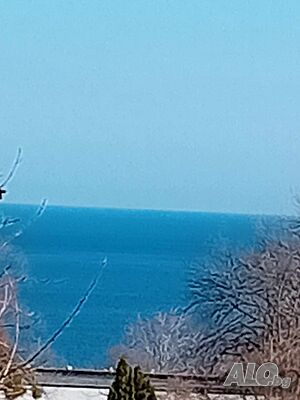 image_17