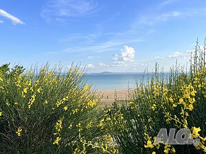 image_14