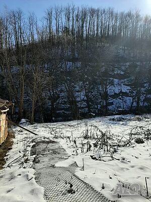 image_11