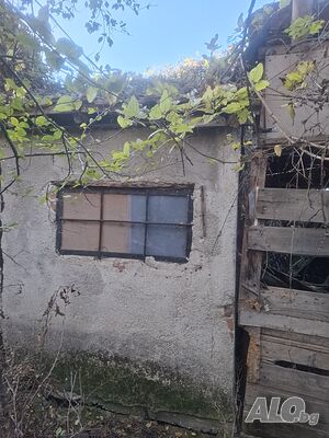 image_9
