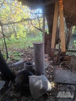 image_10