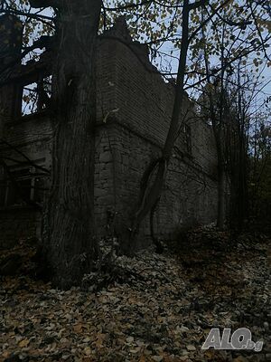 image_5