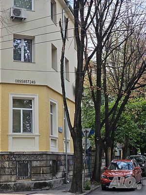 image_19