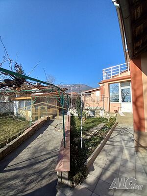 image_7