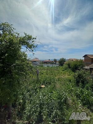 image_5
