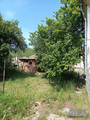 image_9