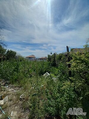image_13