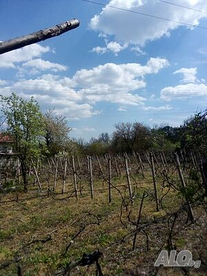 Парцел за сглобяема къща▪︎Партиди за Ток и вода