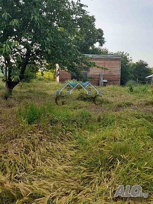 image_9
