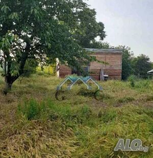 image_9