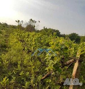 image_10