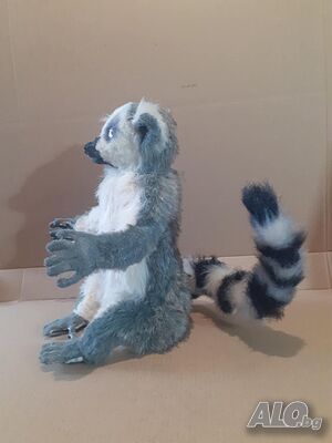 image_7