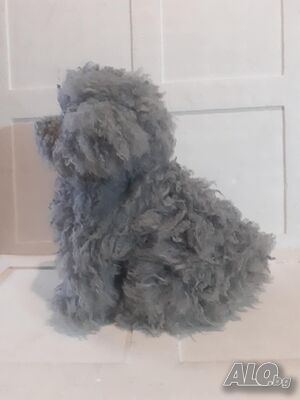 image_3