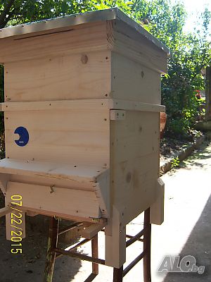 image_7