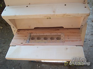image_9