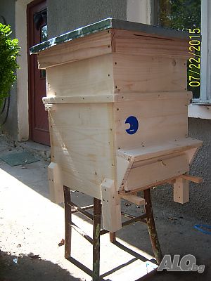 image_9