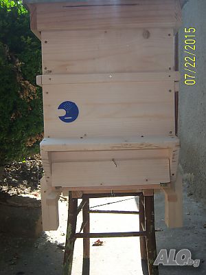 image_11