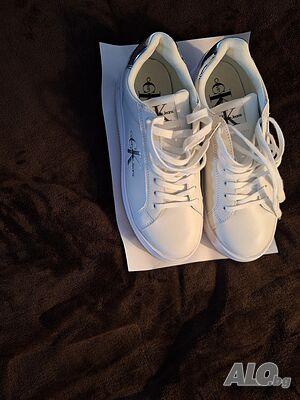 image_3