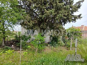 image_5