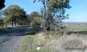 image_6