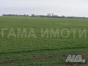 image_5