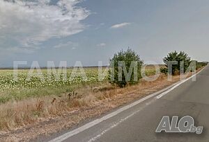 image_6