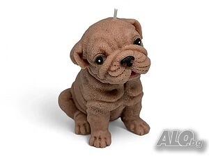 image_5