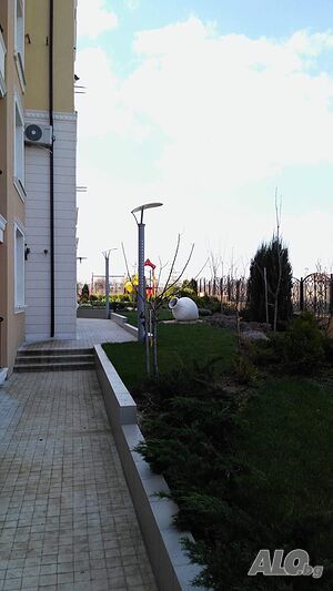 image_7