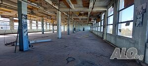image_6