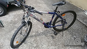 image_13